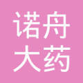 诺舟大药